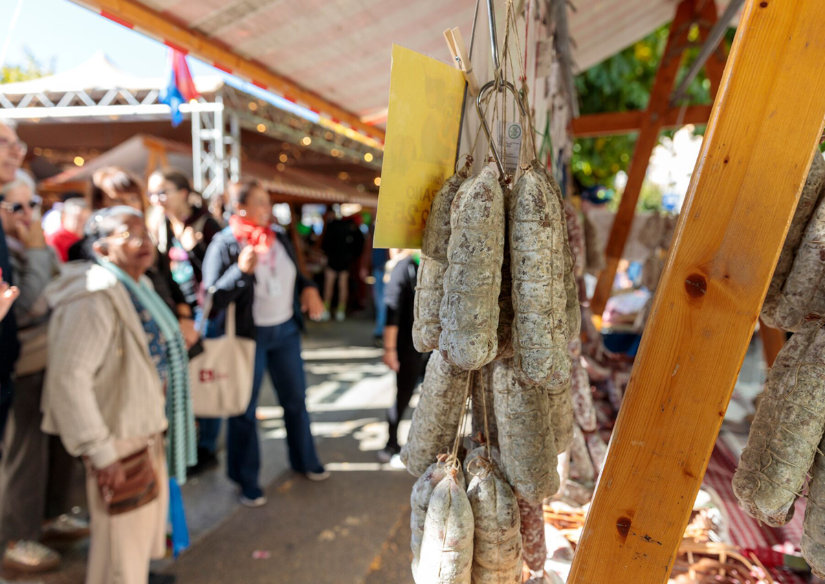 Agrifestival_ticinoate_agriesperienza_autunno2